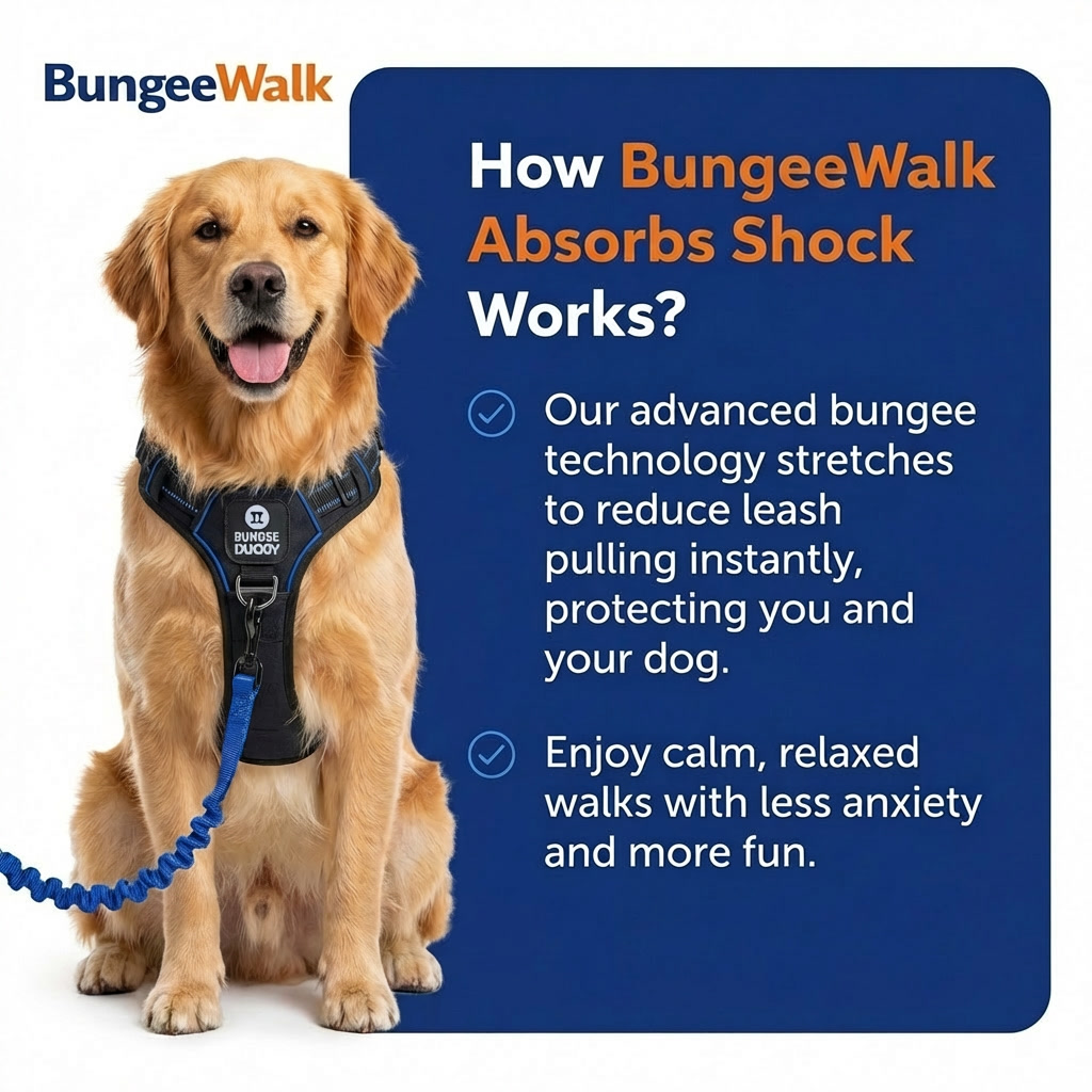 BungeeWalk Leash [Free Today]