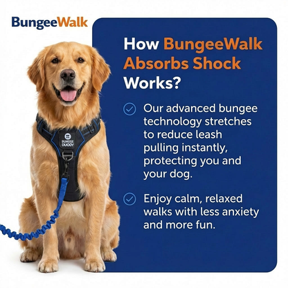 BungeeWalk Leash [Free Today]