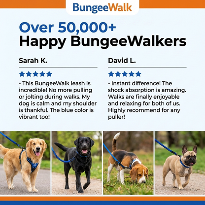 BungeeWalk Leash [Free Today]