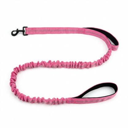 BungeeWalk Leash [Free Today]