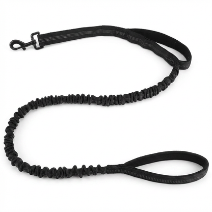 BungeeWalk Leash [Free Today]